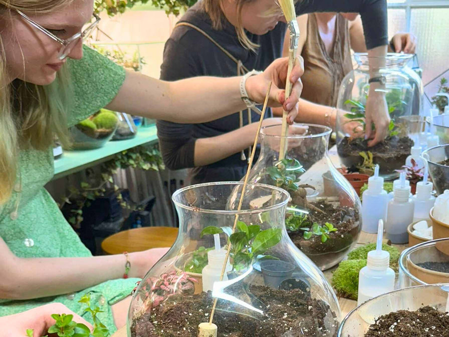 Terrarium Workshops in London, Fun & Creative Classes | Tropical Glass