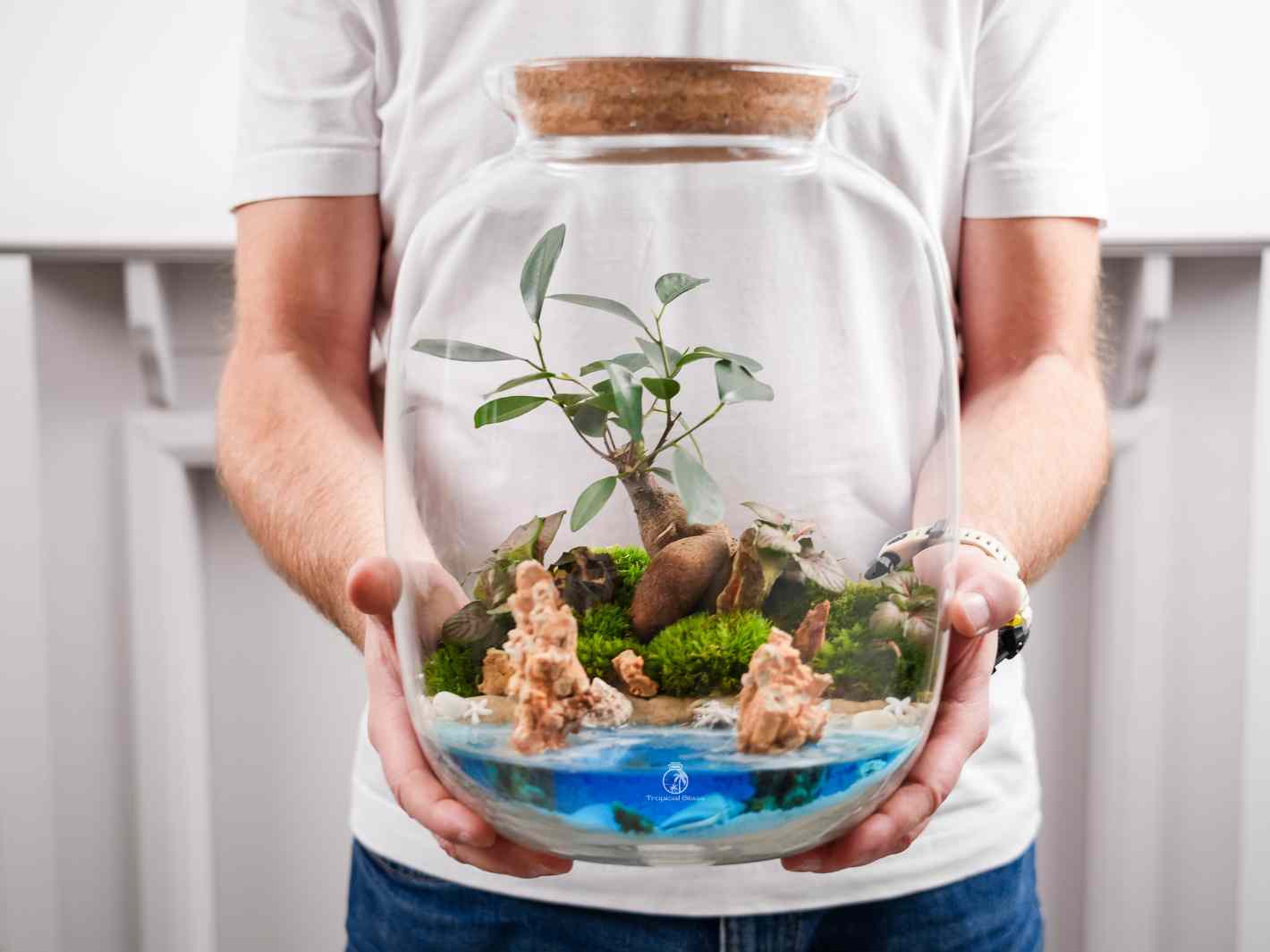 Diorama terrarium with bonsai, Fittonia, and moss