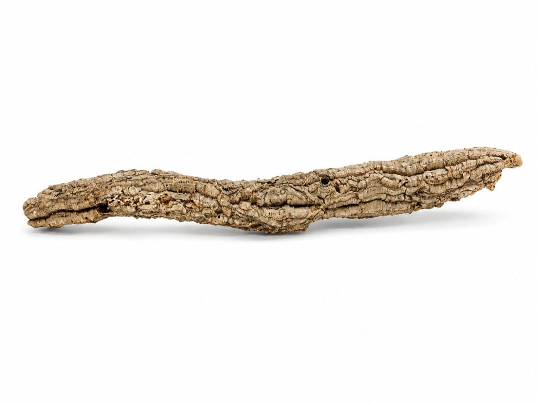 Natural Cork Bark Tube – Medium, 8–12 cm Diameter