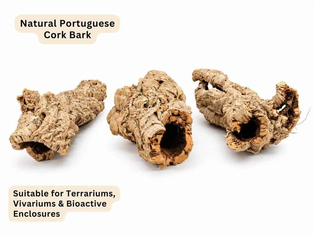 Three natural cork bark pieces with hollow centers, shown on a white background with text labels reading &