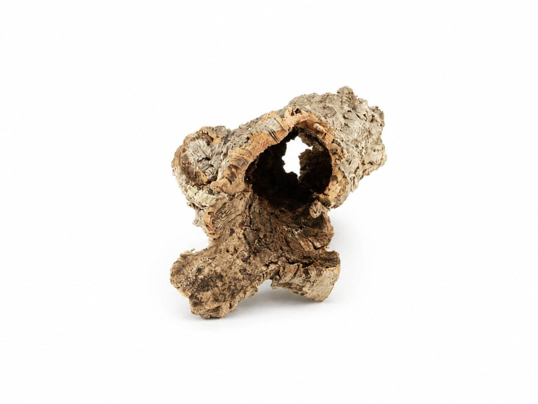 Large natural cork bark tubes 40-60 cm in assorted unique shapes