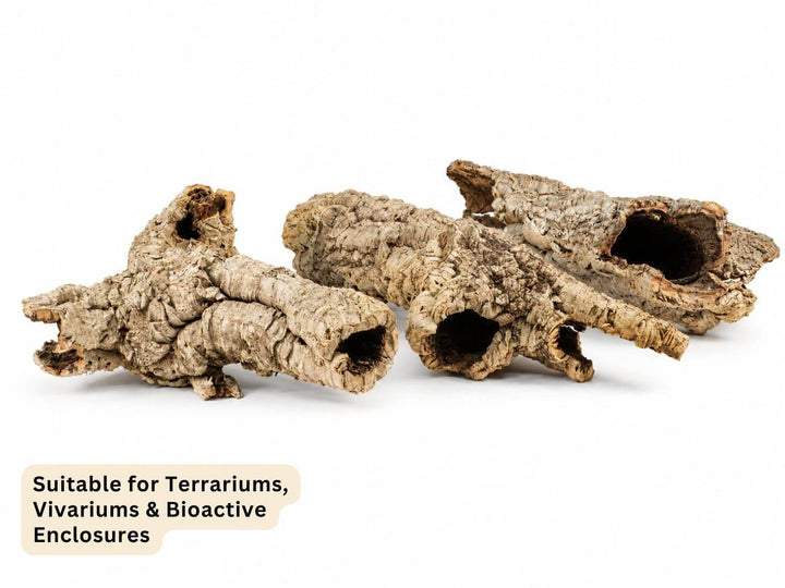 Selection of large natural cork bark tubes showing different shapes and openings