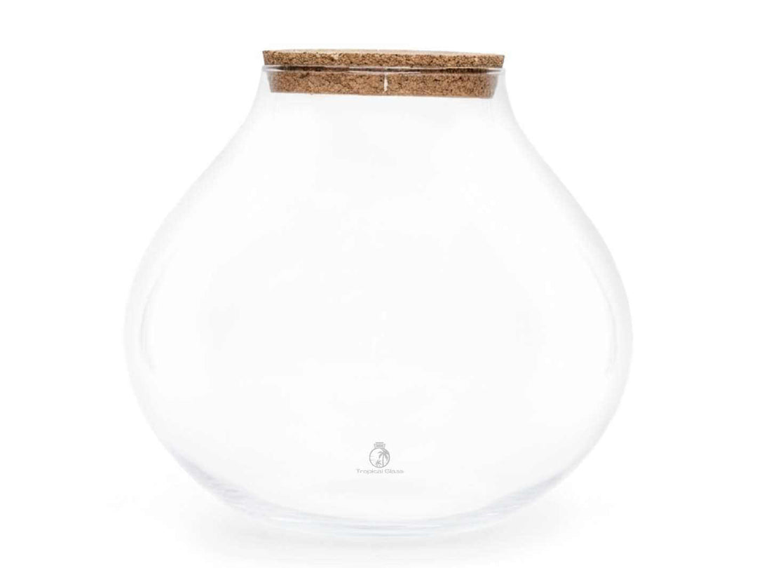 Large glass terrarium jar with cork lid on white background for plants