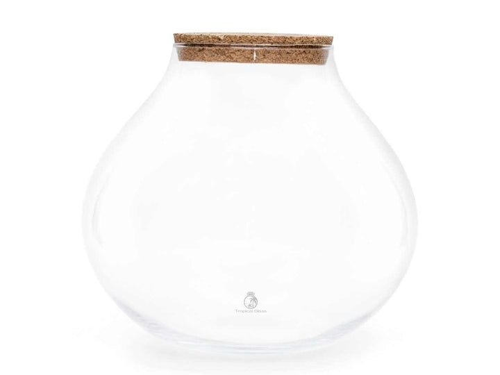 Large glass terrarium jar with cork lid on white background for plants