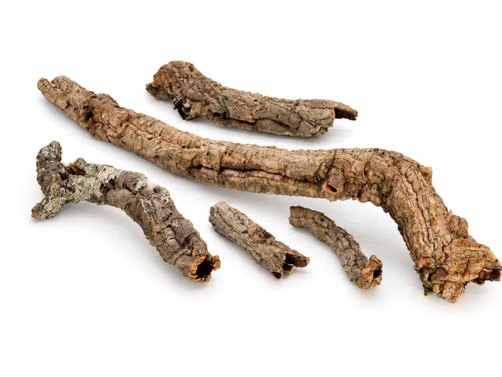 Large natural cork bark branches and tubes for terrarium and vivarium enclosures