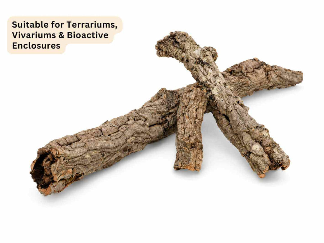 Natural cork bark arranged for vivarium hides and climbing areas