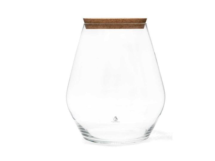 Clear glass vase with a cork lid on a white background