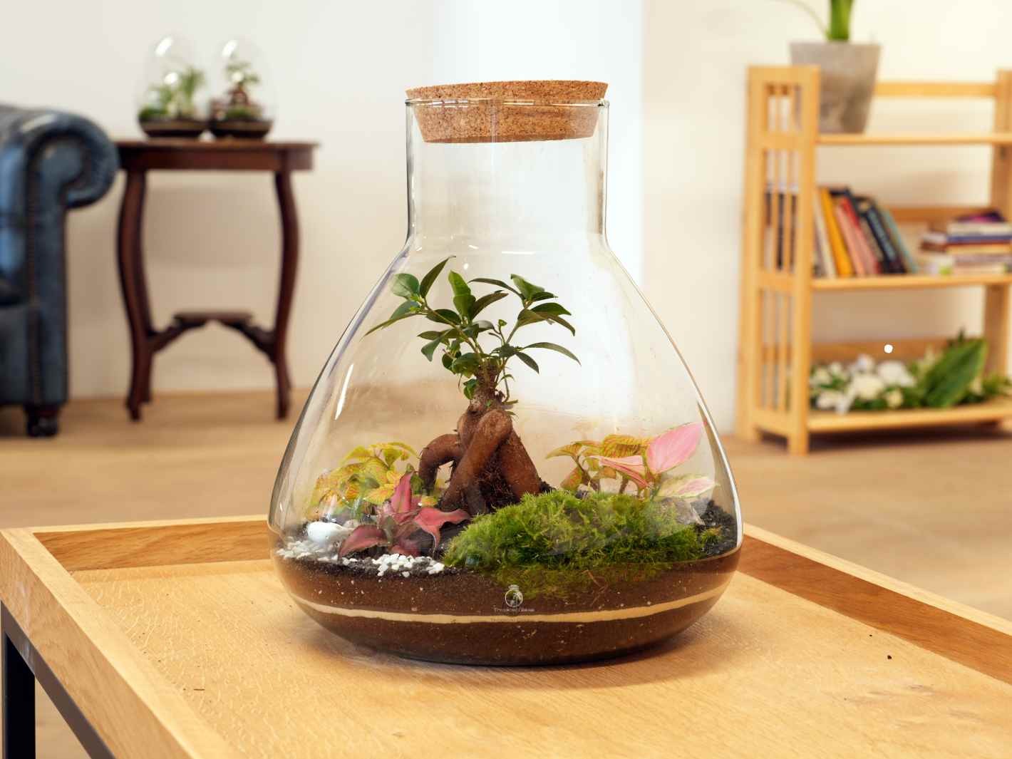 A beautifully designed DIY terrarium featuring a glass container with a cork lid, showcasing a variety of plants, moss, and decorative stones. The terrarium is placed on a wooden table in a well-lit room with a cozy atmosphere.