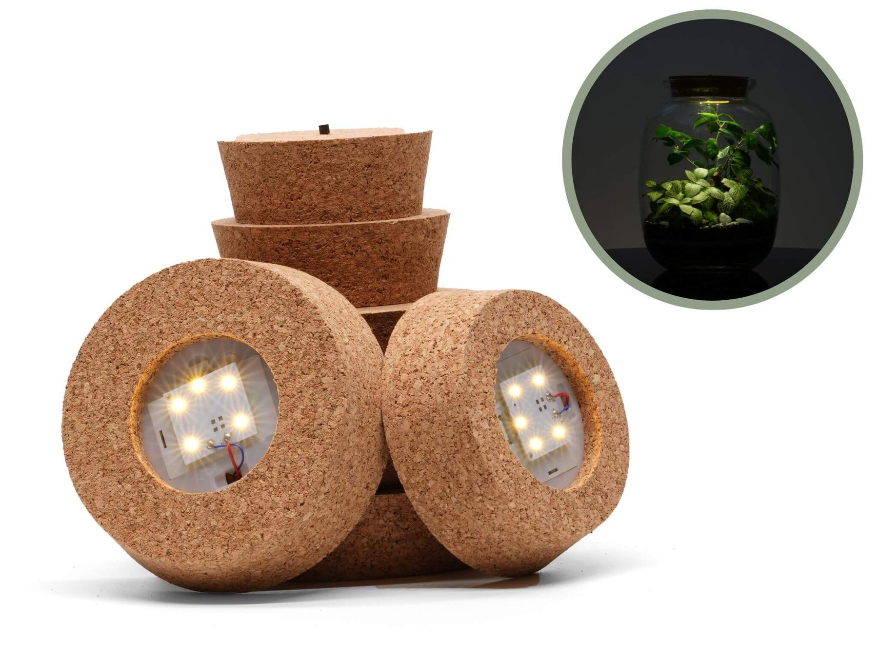 Terrarium Cork Lid with LED light Various sizes Tropical Glass
