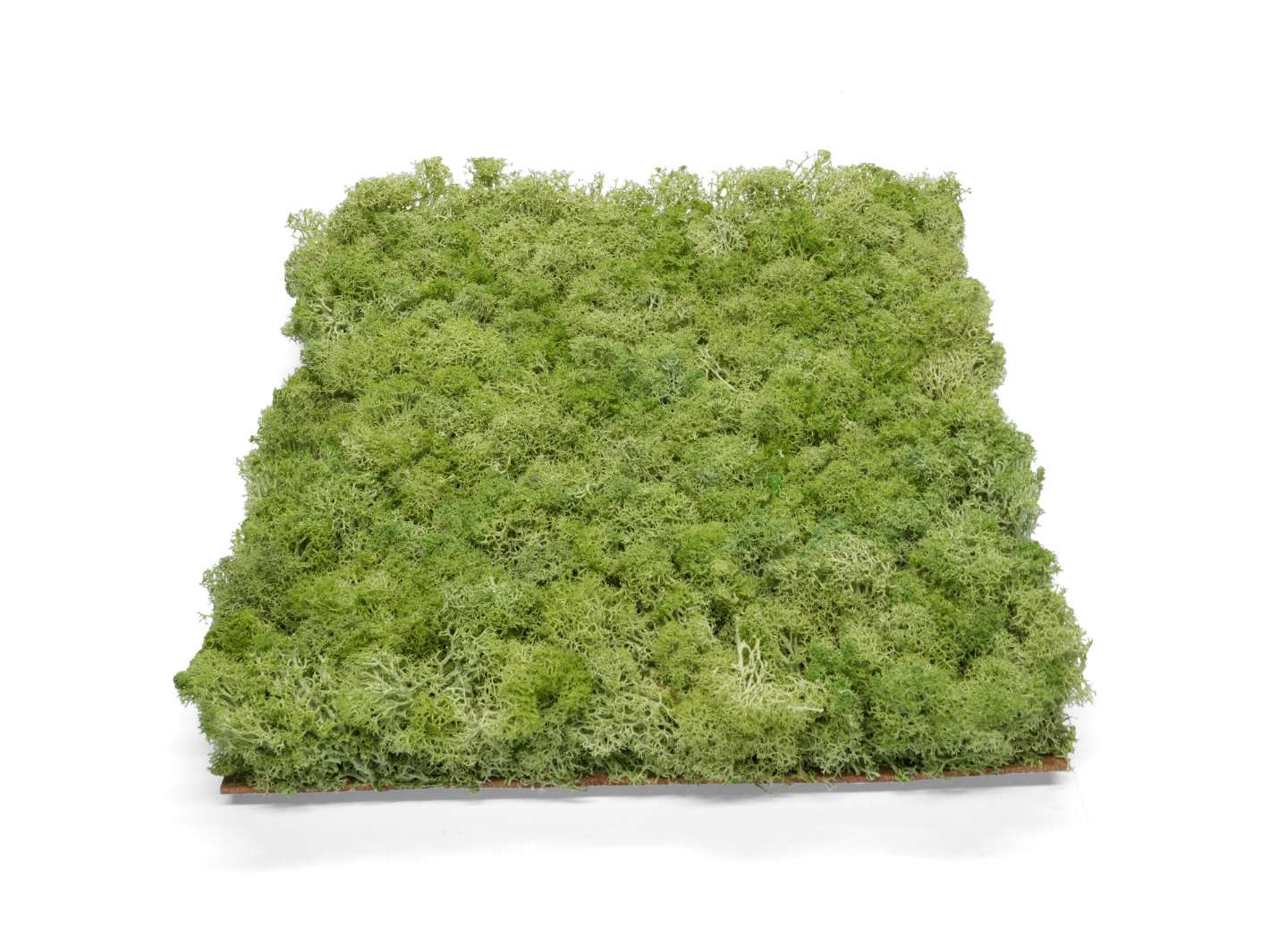 Lime green preserved moss panel 30x30 cm, perfect for wall decor.