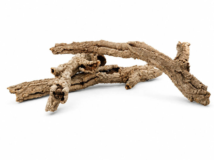Natural Cork Bark Tube – Medium, 8–12 cm Diameter