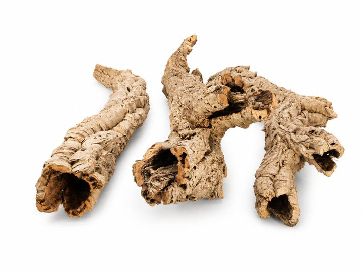 Long natural cork bark branch for terrariums and reptile enclosures