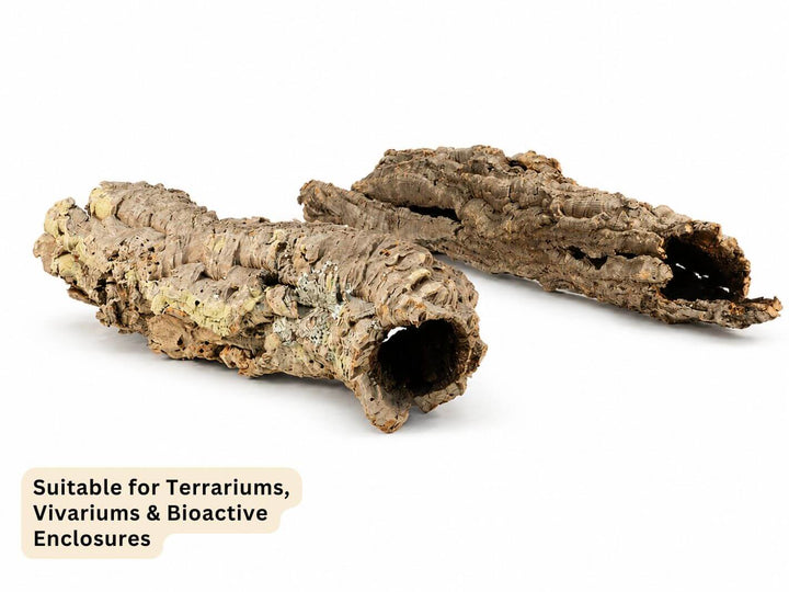 Two natural cork bark tubes for terrariums, shown on a white background with a text overlay at the bottom left.