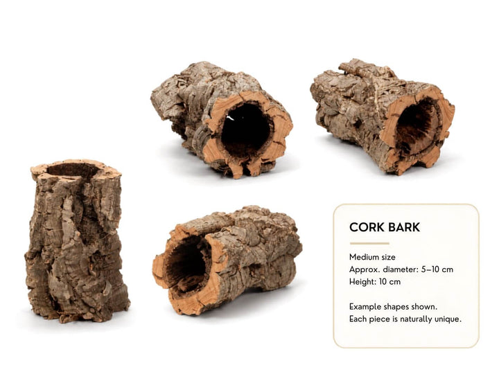 Natural small mini cork bark pieces in assorted shapes, approximately 5–8 cm diameter and 5 cm high