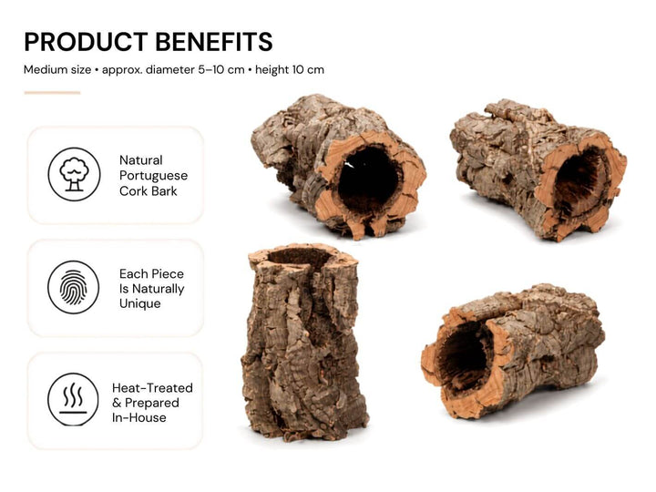 Three small cork bark tube pieces with natural hollow openings for terrariums and vivariums