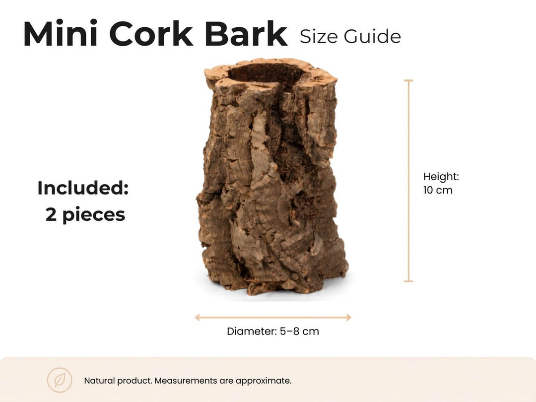 A size guide graphic for a mini cork bark piece, showing a brown textured bark cylinder on a white background with text indicating included 2 pieces, height 10 cm, and diameter 5-8 cm.