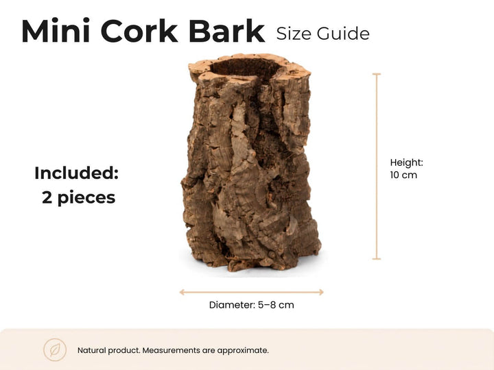 A size guide graphic for a mini cork bark piece, showing a brown textured bark cylinder on a white background with text indicating included 2 pieces, height 10 cm, and diameter 5-8 cm.