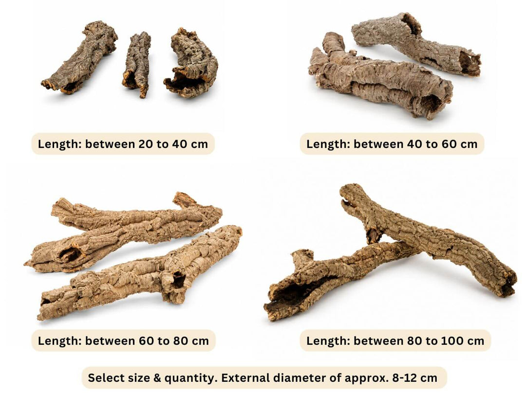 Natural Cork Bark Tube – Medium, 8–12 cm Diameter