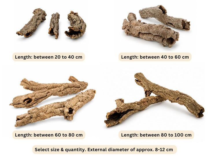 Natural Cork Bark Tube – Medium, 8–12 cm Diameter