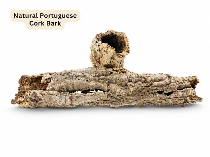 Natural Portuguese cork bark piece with a rough, textured surface and a hollowed section on top, shown on a white background with a text label in the upper left.