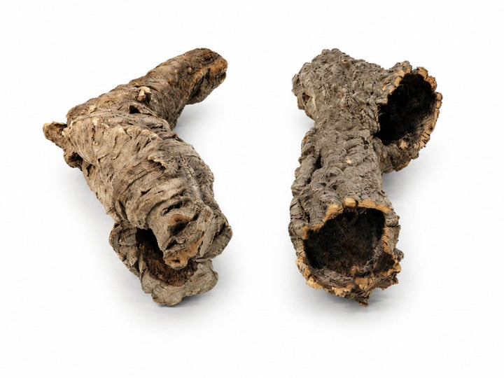 Two natural cork bark logs with hollow centers, displayed side-by-side on a clean white background.