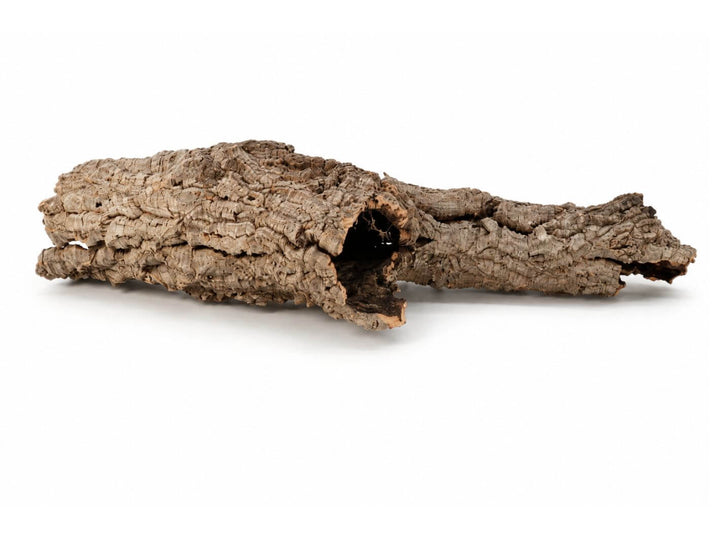 A piece of natural cork bark with a hollow center, showing textured brown and tan tones, isolated on a white background.