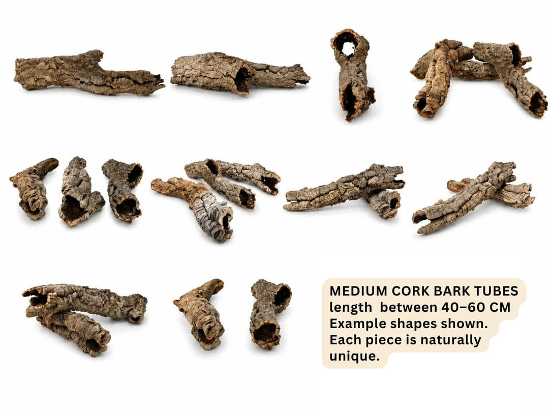 Examples of natural medium cork bark tubes 40–60 cm showing variation in shape, texture and openings