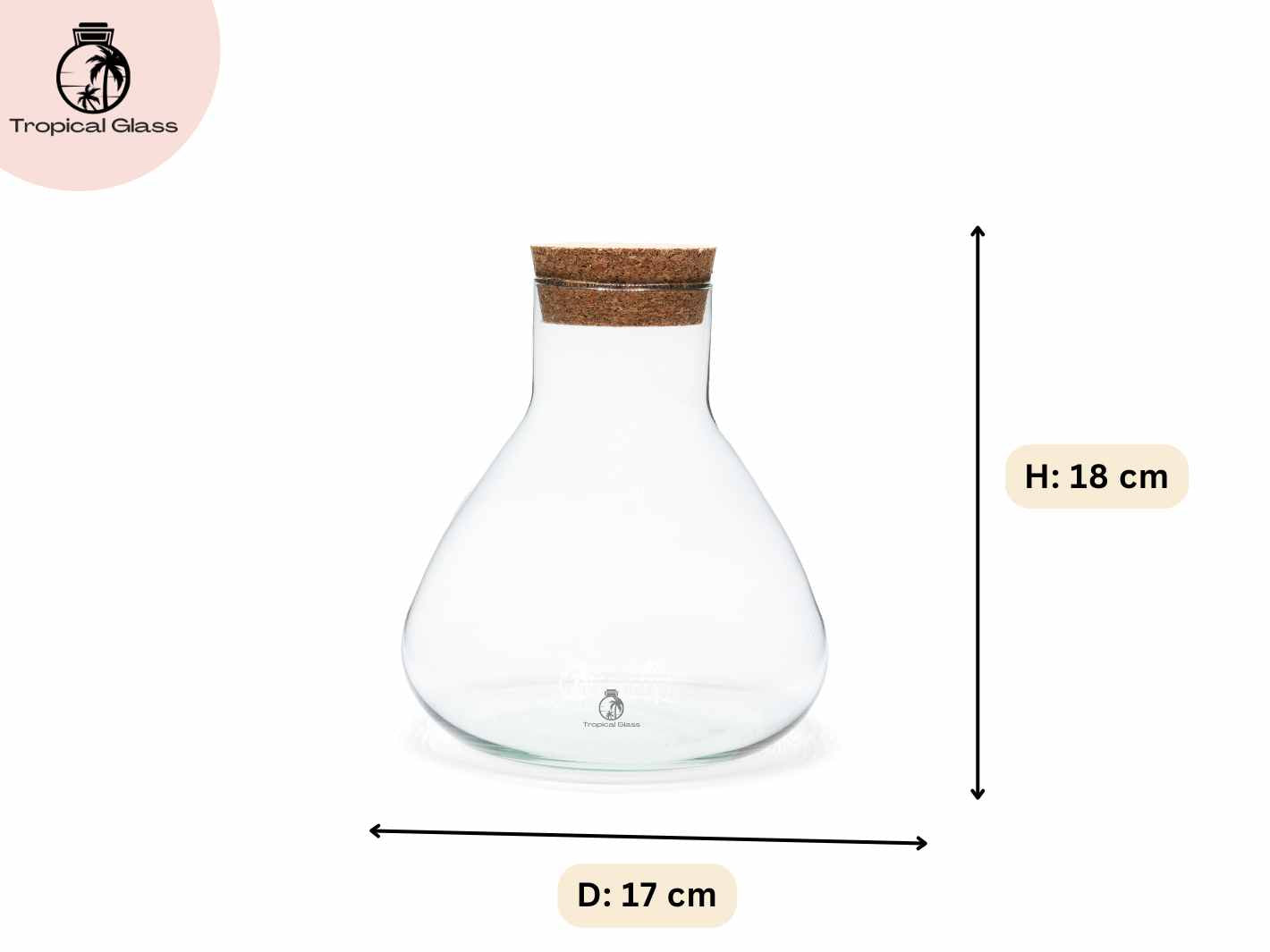 Mini conical glass terrarium jar measuring 18 cm height and 17 cm diameter for small indoor terrarium builds