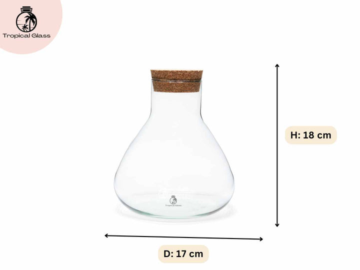 Mini conical glass terrarium jar measuring 18 cm height and 17 cm diameter for small indoor terrarium builds