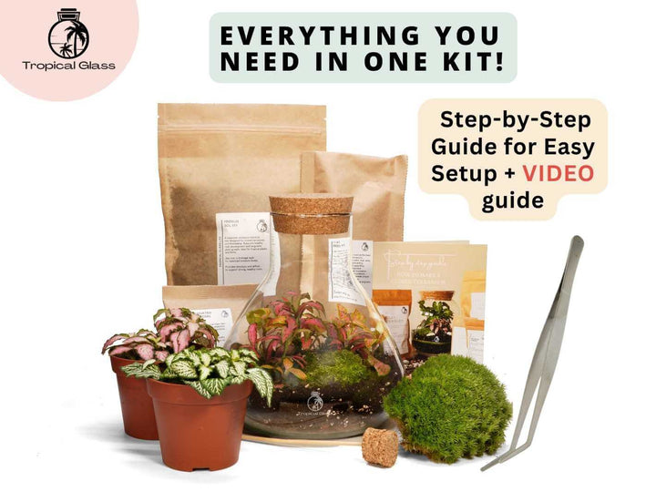 DIY mini conical terrarium kit with drainage layers, soil and live plants ready to assemble