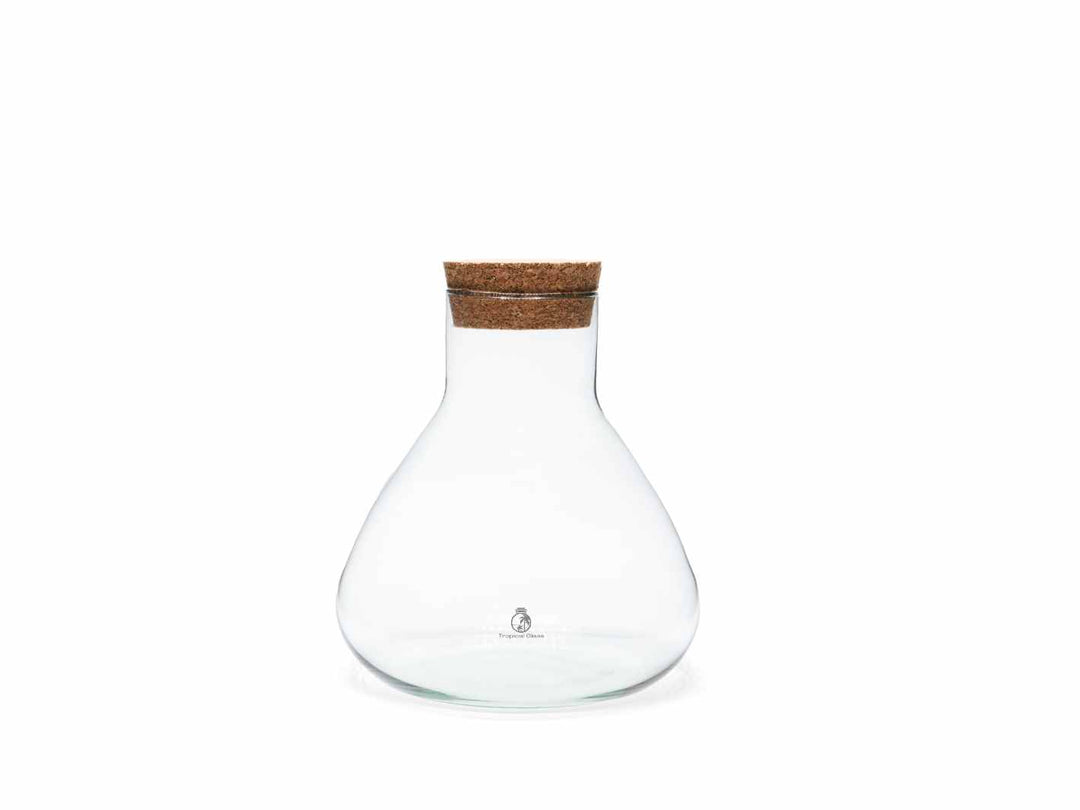 Mini conical glass terrarium jar with cork lid for closed plant displays and indoor decoration