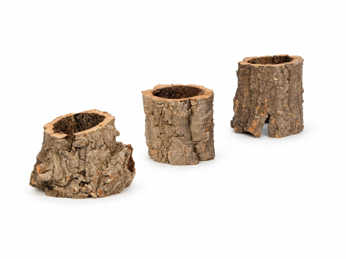 Representative examples of small mini cork bark pieces, approximately 5–8 cm diameter and 5 cm high