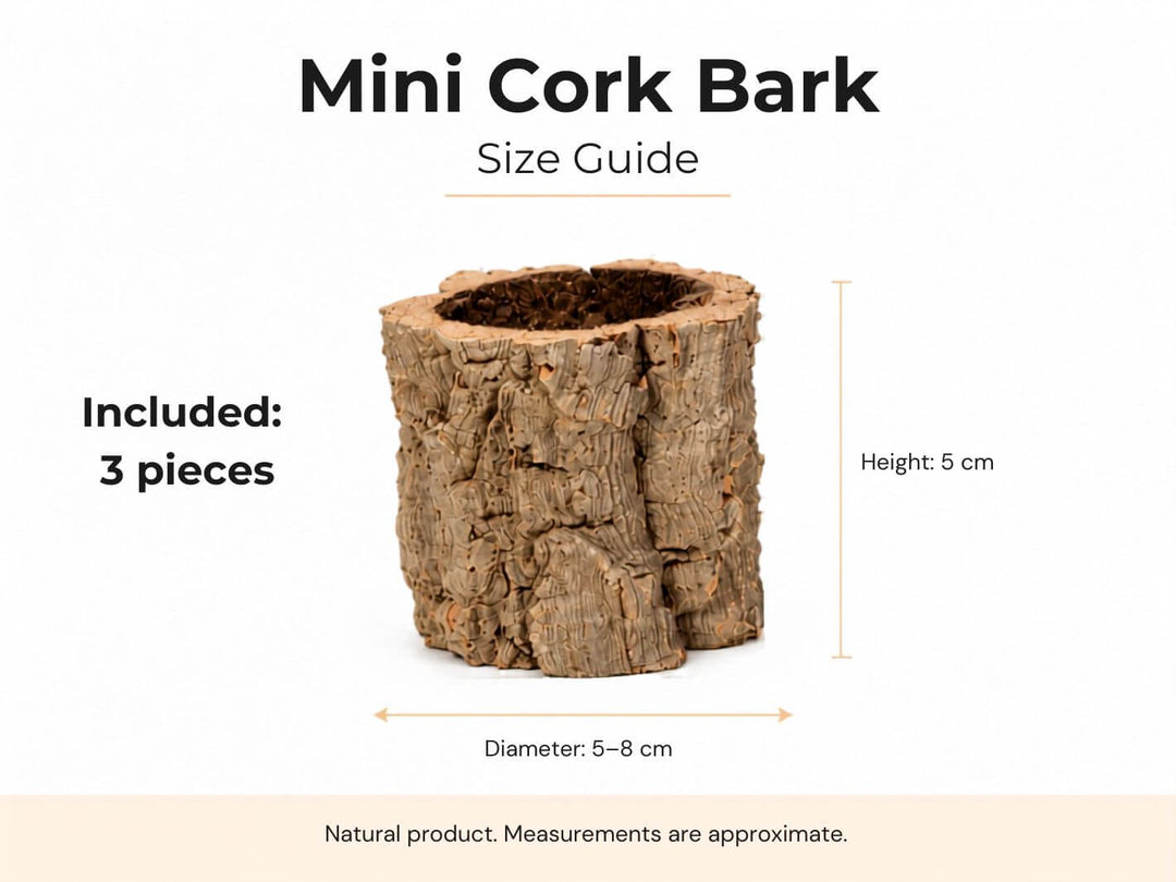 Representative examples of small mini cork bark pieces, approximately 5–8 cm diameter and 5 cm high