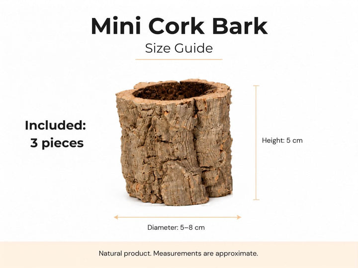 Representative examples of small mini cork bark pieces, approximately 5–8 cm diameter and 5 cm high