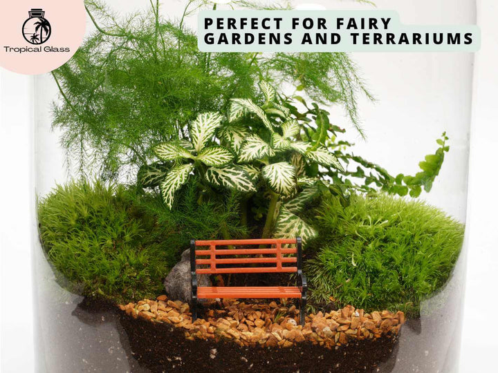 Mini park bench ornament inside closed terrarium, miniature bench decoration for moss terrarium and indoor plants