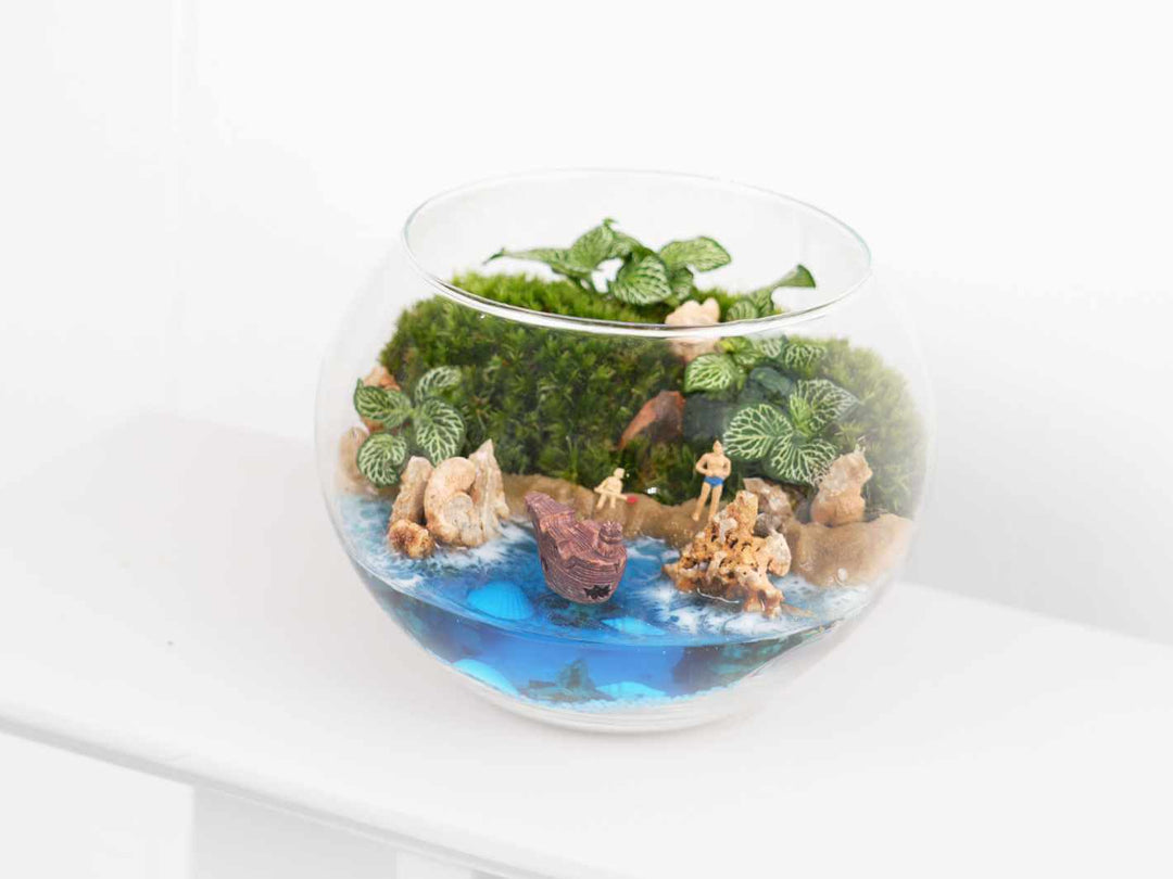 Small shipwreck-style pirate boat, perfect for nautical and fantasy terrariums.