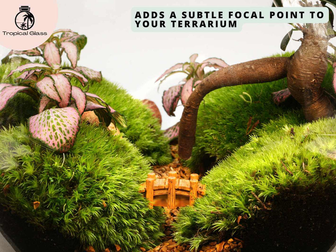 Miniature bridge figurine placed inside a mossy terrarium landscape with stones and plants