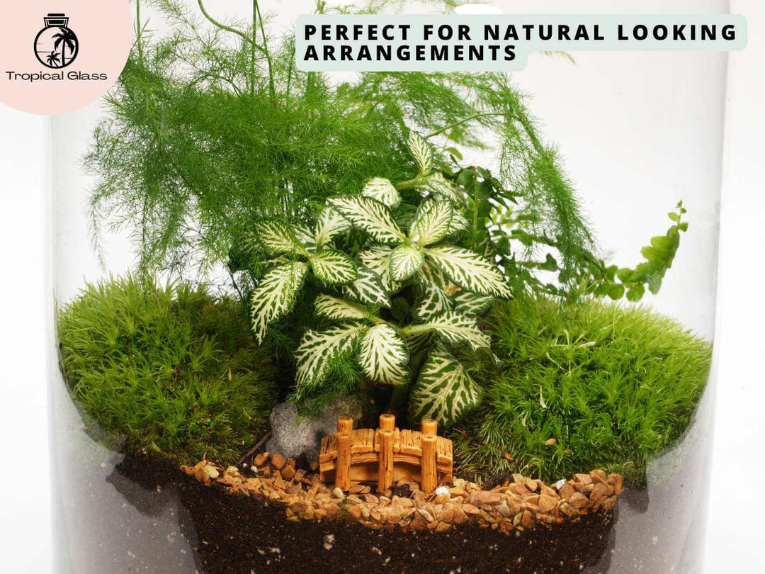 Miniature bridge figurine decorating a tiny garden scene inside a glass terrarium