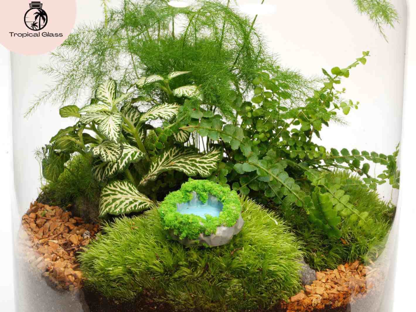 Miniature pond decoration for terrariums with realistic moss effect border