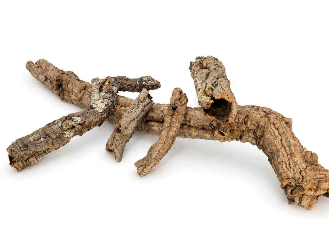 Mixed sizes of natural cork bark for terrariums, vivariums and bioactive enclosures