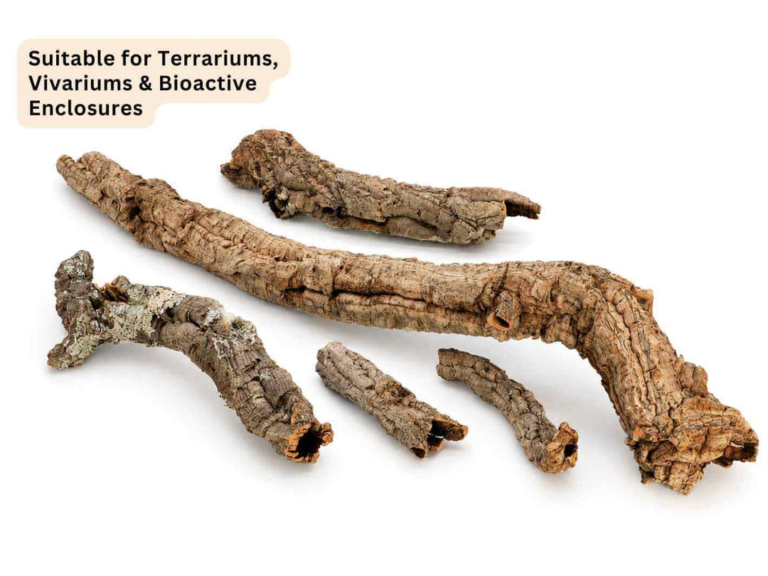 Several natural cork bark pieces with rough, textured surfaces arranged on a plain white background. A text label in the top left reads &