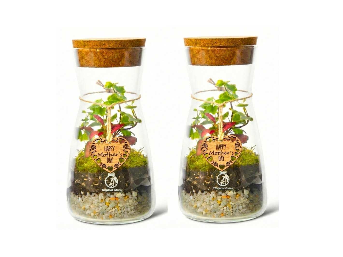 Two glass terrarium bottles with cork lids, each containing vibrant green plants and decorative stones. Each terrarium features a heart-shaped tag that reads Happy Mothers Day, making it a thoughtful gift for the occasion.