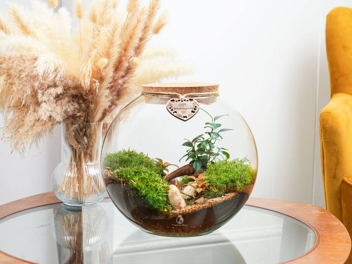 Elegant Mother’s Day terrarium featuring a bonsai and lush plants. A meaningful and stylish garden gift for Mum.
