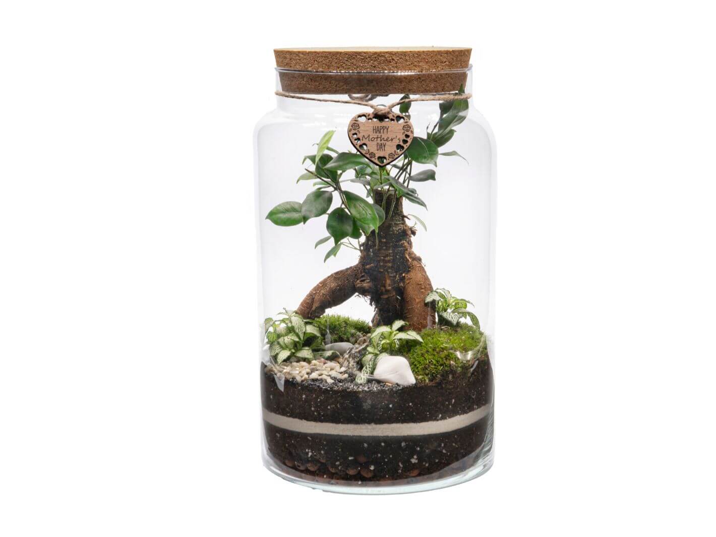 Mother’s Day DIY Terrarium Kit with glass container, Bonsai, Fittonia, and wooden Happy Mother's Day tag