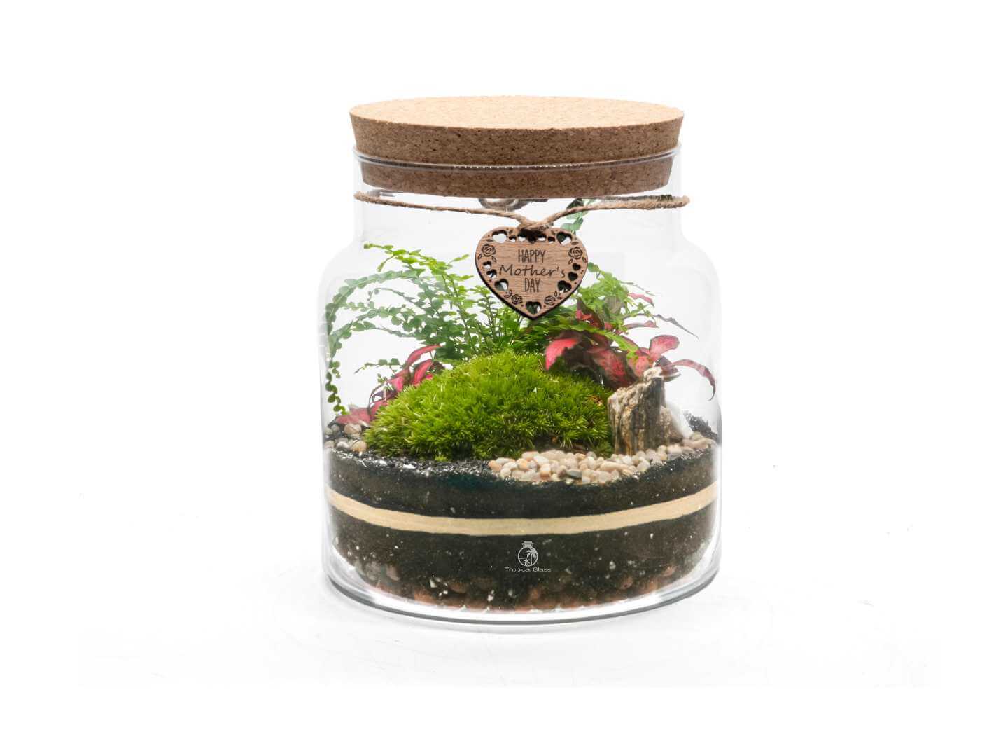 Indoor terrarium gift for Mum with plants, moss, and a wooden Happy Mother's Day tag