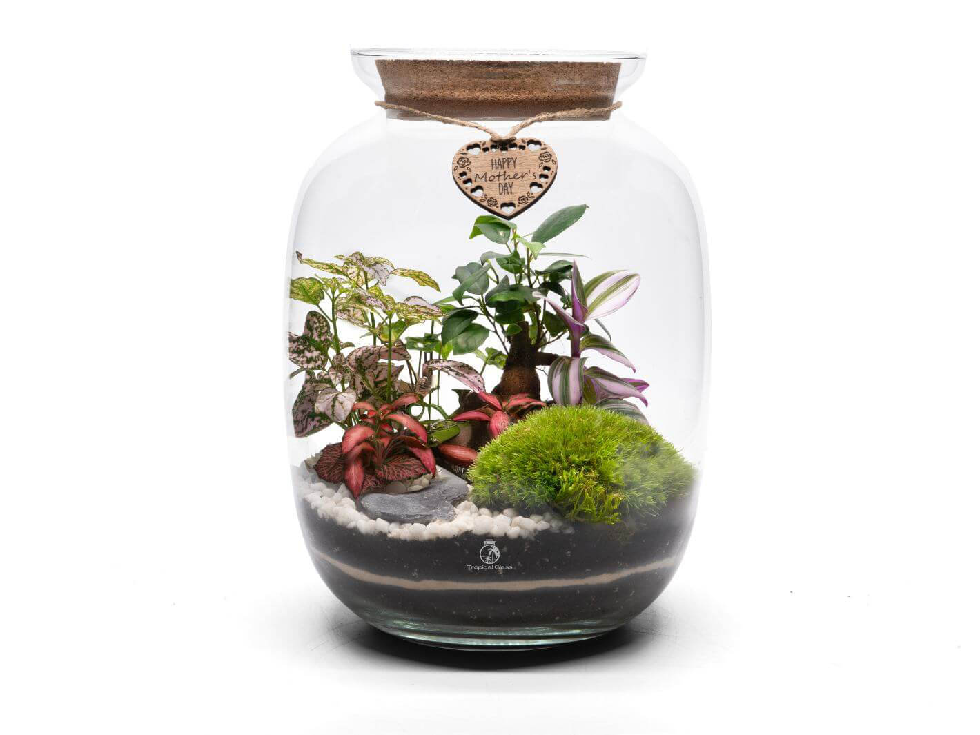 Large DIY terrarium gift for Mum featuring lush plants, moss, and a wooden ‘Happy Mother’s Day’ tag, available with a cork or glass lid