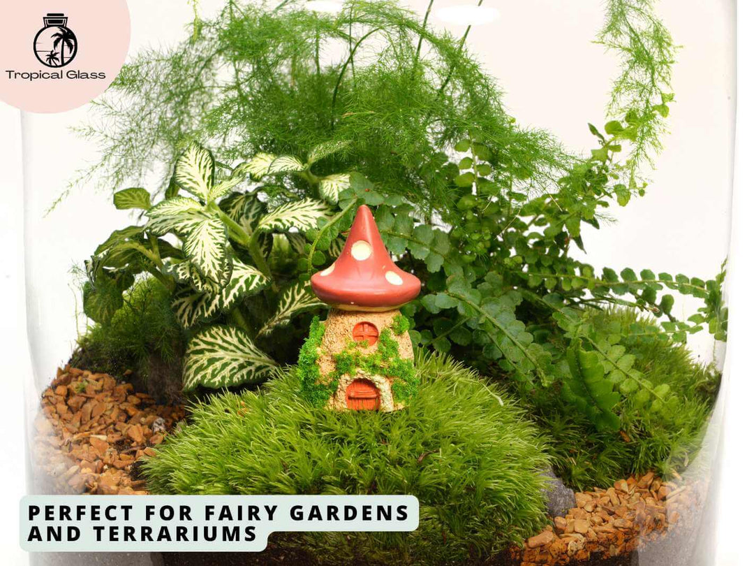 Mini mossy mushroom house figurine placed inside a terrarium with moss, stones and plants