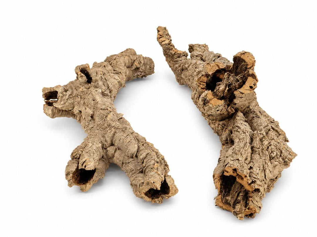 Selection of natural cork bark pieces for terrariums, vivariums and bioactive enclosures