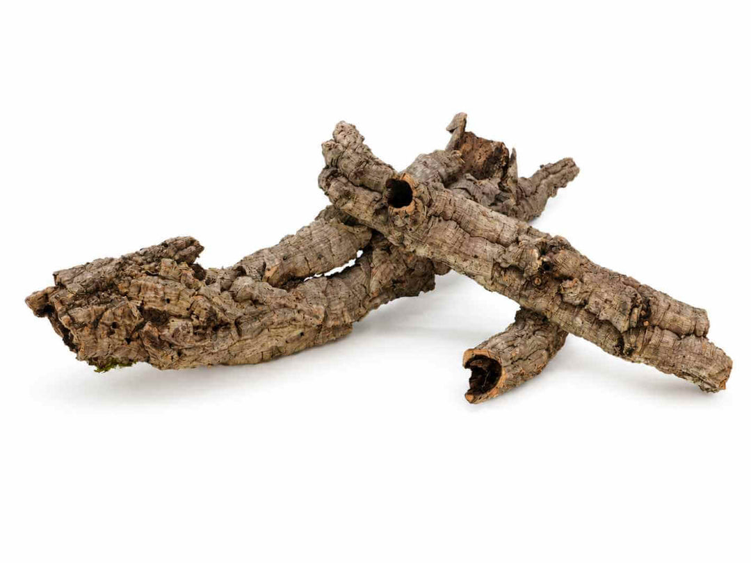 Mixed natural cork bark tubes in different sizes for terrariums