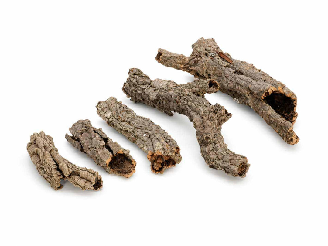 Natural cork bark pieces for terrarium and vivarium decoration